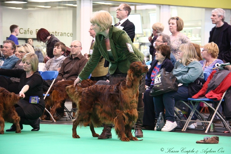 Crufts2011 743.jpg